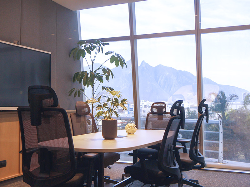 Sala de juntas en oficina con mesa y sillas, con una planta y una vista impresionante a la montaña en Torre Xi, oficina en renta en Monterrey